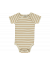 Body Pumpkin Pie Stripe