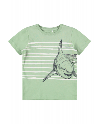 Kaleb T-shirt Basil