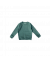 Sweatshirt Iceberg Green