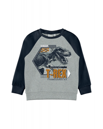 Vildar Sweatshirt Grey Melange